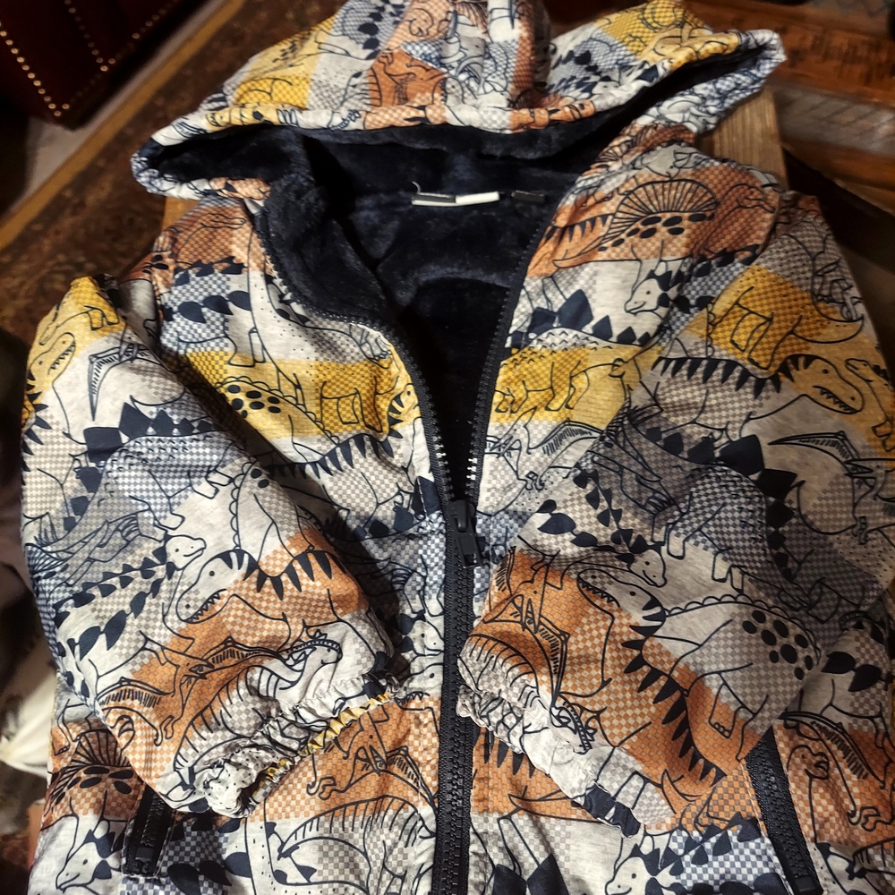 Kids Dinosaur Print Hooded Jacket